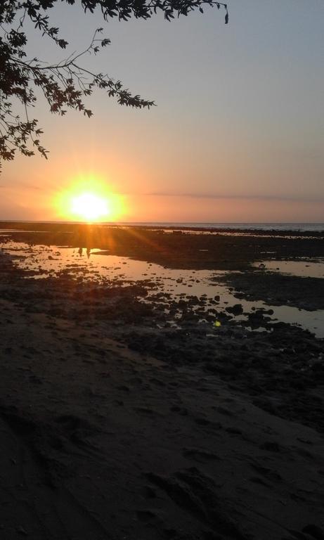 Coral Beach Pizza Cottages Quần đảo Gili Ngoại thất bức ảnh